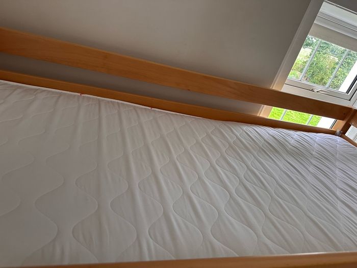 Bunk bed with attached slide and mattresses