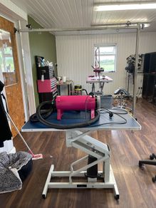 hydraulic dog grooming table