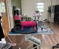 hydraulic dog grooming table