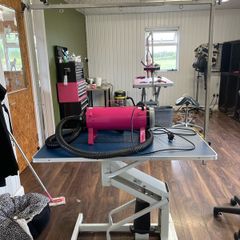 hydraulic dog grooming table