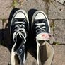 Converse All Stars Image 3