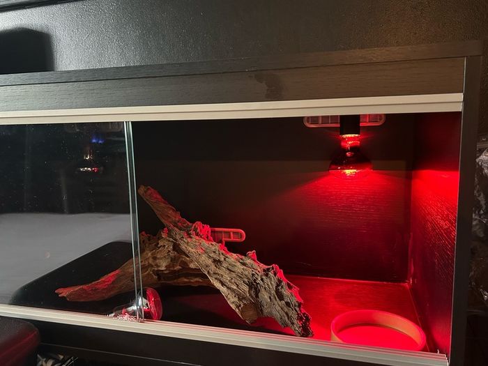 3 foot reptile tank black