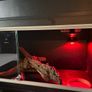 3 foot reptile tank black Image 2