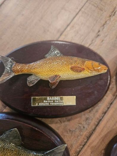 fishermans tale plaques