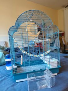 New Parrot/bird Cage Starter Kit + Tons of Accessories