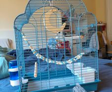 New Parrot/bird Cage Starter Kit + Tons of Accessories