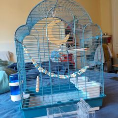 New Parrot/bird Cage Starter Kit + Tons of Accessories