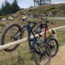 Trek Roscoe 8 Image 3