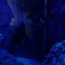 Marine aquarium set up 250L Image 10