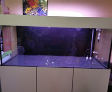 Fish Tank 850ltr
