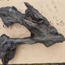 Collection of 4 Ancient Irish Bog Oak Pieces Image 6