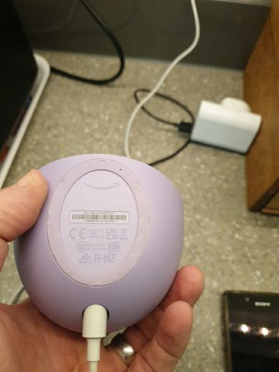 Amazon alexa smart speaker