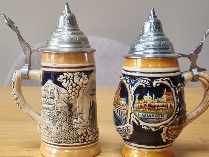 Beer Steins x 2
