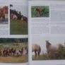 Encyclopaedia of Horses Image 5
