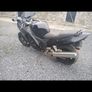 cbr 1100 black burd x2 breakung only Image 4