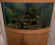 190L Jewel corner fish tank