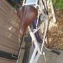 lady bike Image 10