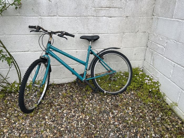 Ladies bike