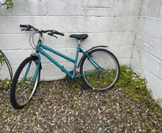 Ladies bike