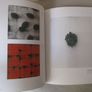 Irish Art Now, From The Poetic To The Political Image 3