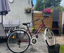 Ladies Bike