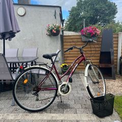 Ladies Bike