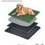 Potty training for pups Image 3
