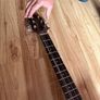 Takamine Image 2
