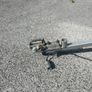 Dog / multi purpose trailer - Fully Restored! Image 10