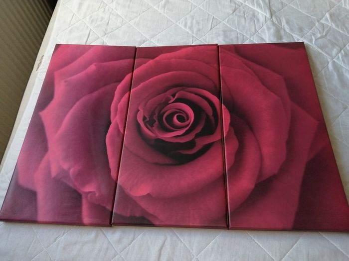 Canvas Wall Art