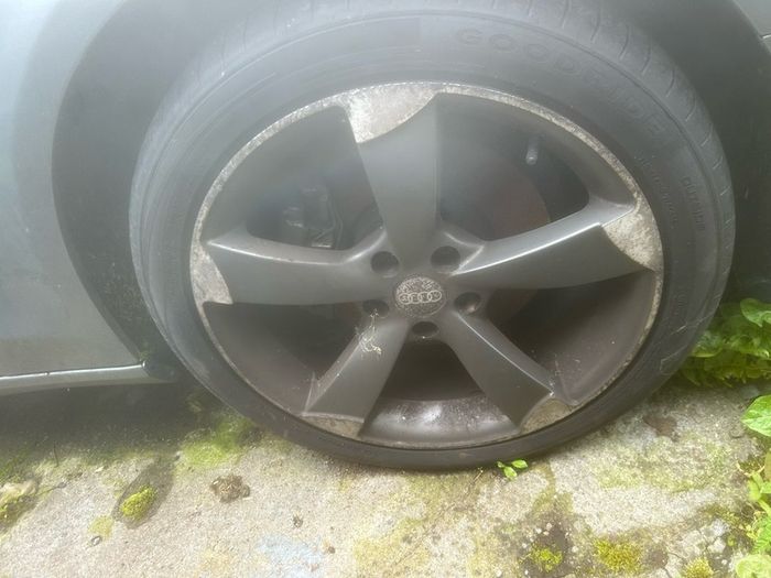 audi alloys