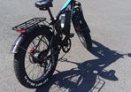 Fat Wheel Electric Bike
