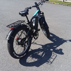 Fat Wheel Electric Moped