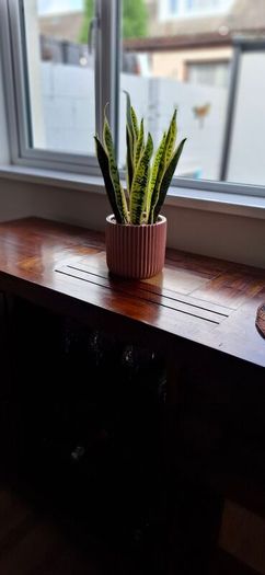 Beautiful piece artificial plant pristine condition