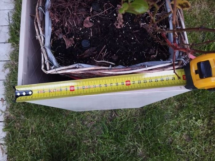 ceramic planter