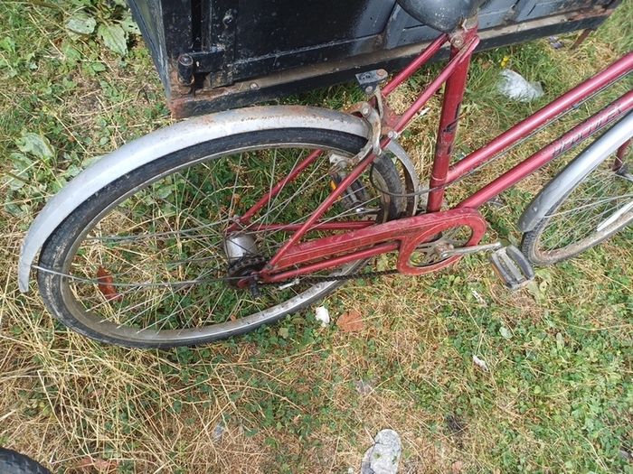 ladies bike