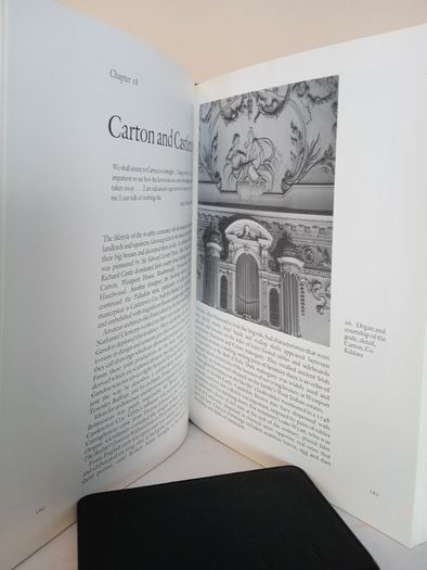 The Irish Country House: A Social History by Peter Somerville-Large (PT131)