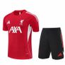 Liverpool Training Set Image 5