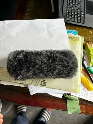 Rycote microphone cover
