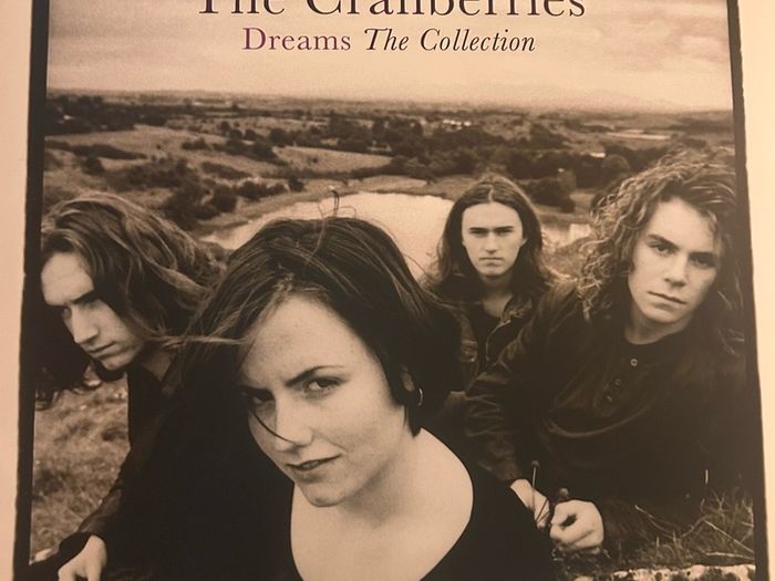 the cranberries