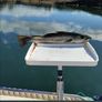 Boat Image 5
