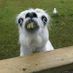 AlHur