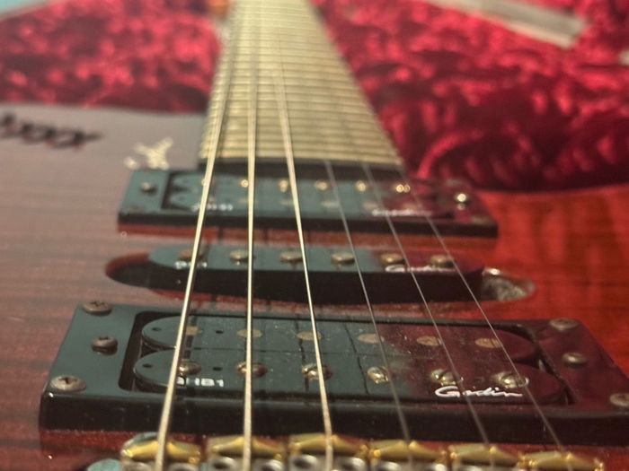 Godin Xtsa 2004