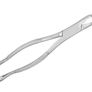 Dental Extracting Forceps Image 3