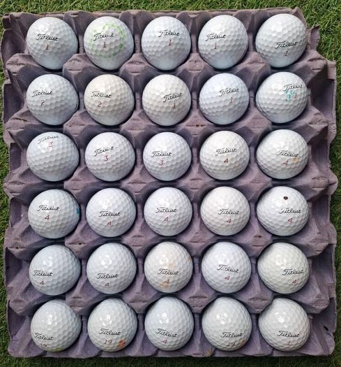 Titleist Pro V1 X