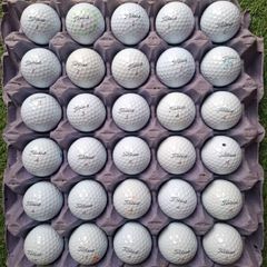 Titleist Pro V1 X