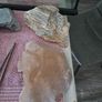 Exo Terra Reptile Tank Plus.... Image 6