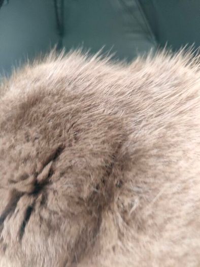 Vintage Kate's Canadian Boutique Fur Hat