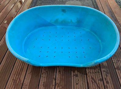 dog bed