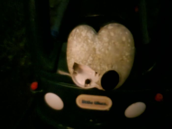 Little Tikes Cozy Coupe Ride On Car